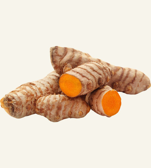 🧡 Kurkuma
